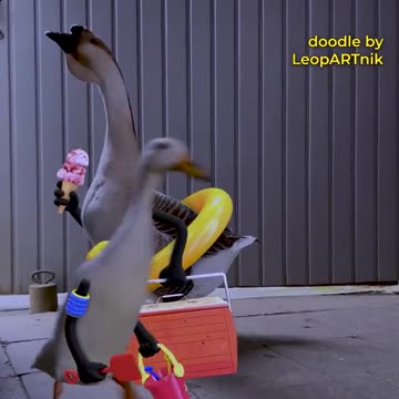 Hidden Secrets of the Animal Kingdom Revealed