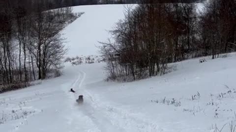 Riding a sled for the first time