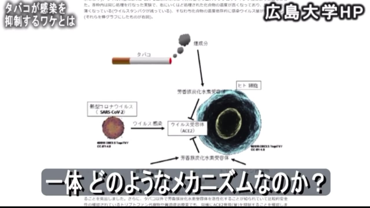 不老長寿より不良長寿