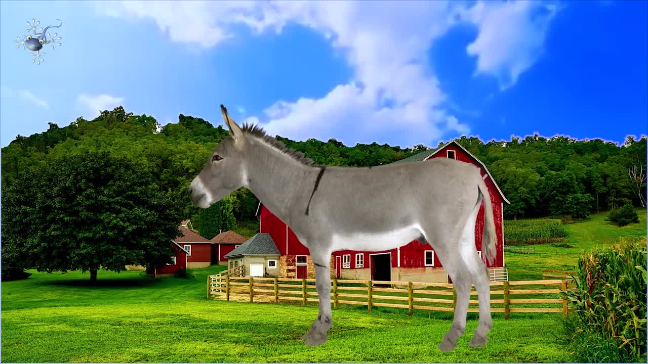 Farm animals and sounds | Educational videos Babies, toddlers, preschoolers | Gecko