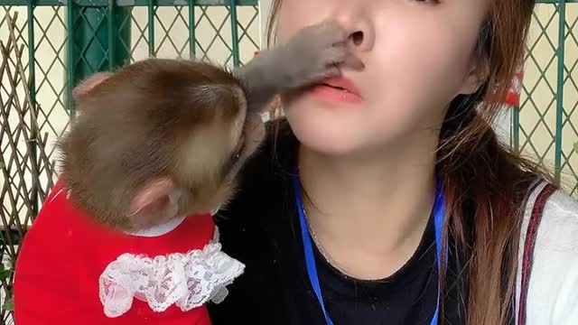 chú khỉ khám bệnh cho chủ nhân