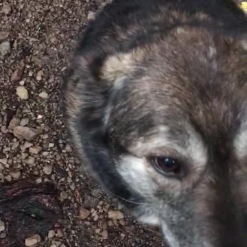 Babe n Rita’s birthday