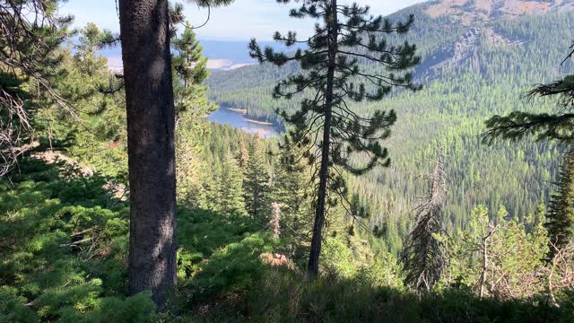 Eastern Oregon – Strawberry Lake + Wilderness – Trail Perspective Overlook