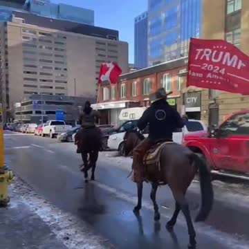 TRUMP 2024 flag brought in by horseback in downtown Ottawa