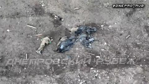クリンキのウクライナ部隊の惨状２