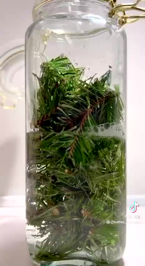 For anyone with a live pine tree