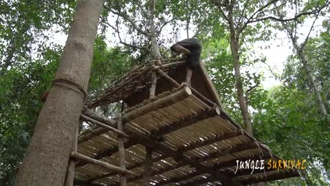 Build Swimming Pool Water Slide Around Secret Bamboo House