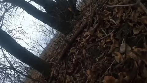 Raiding Russian Positions After They Flee