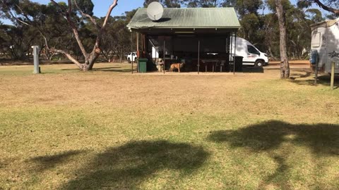 Ravensthorpe Caravan Park WA Over night stop