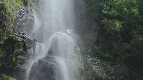 Belezas Naturais: Uma Jornada Musical pela Natureza