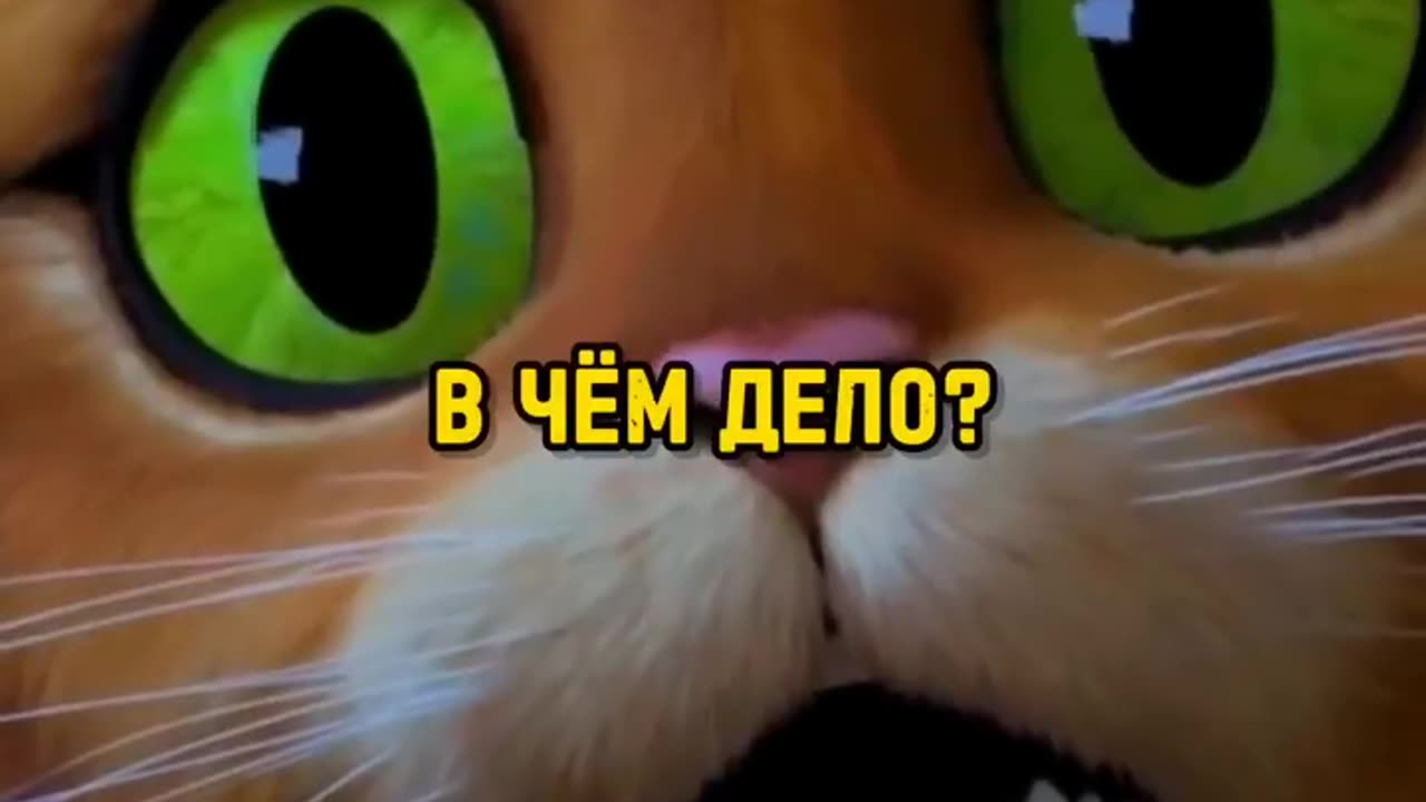 Cat 2 кот в сапогах