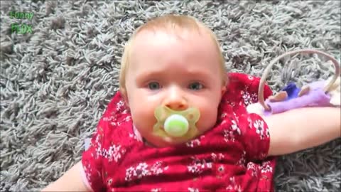 Puppies and Babies Playing Together Compilation