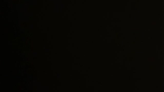 Launch an investigation