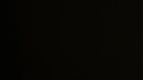 Launch an investigation