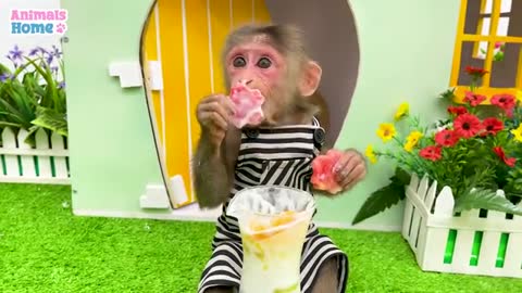 Clever monkey making juice