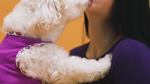 Puppy Kissing Beautiful Girl