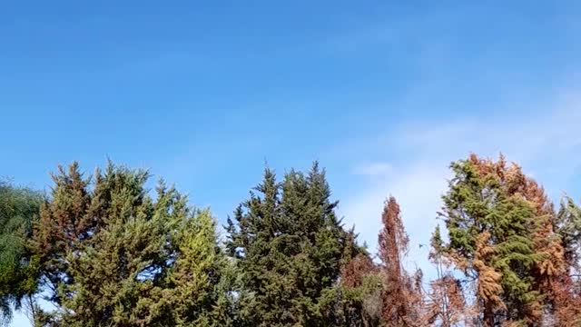 Giornata tranquilla è soleggiata 17/11/2021
