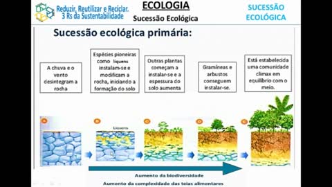 Sucessão Ecológica e Especiação - MinhaEscolaWeb