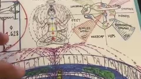 We are electrical beings