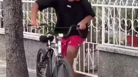 stealing a bicycle