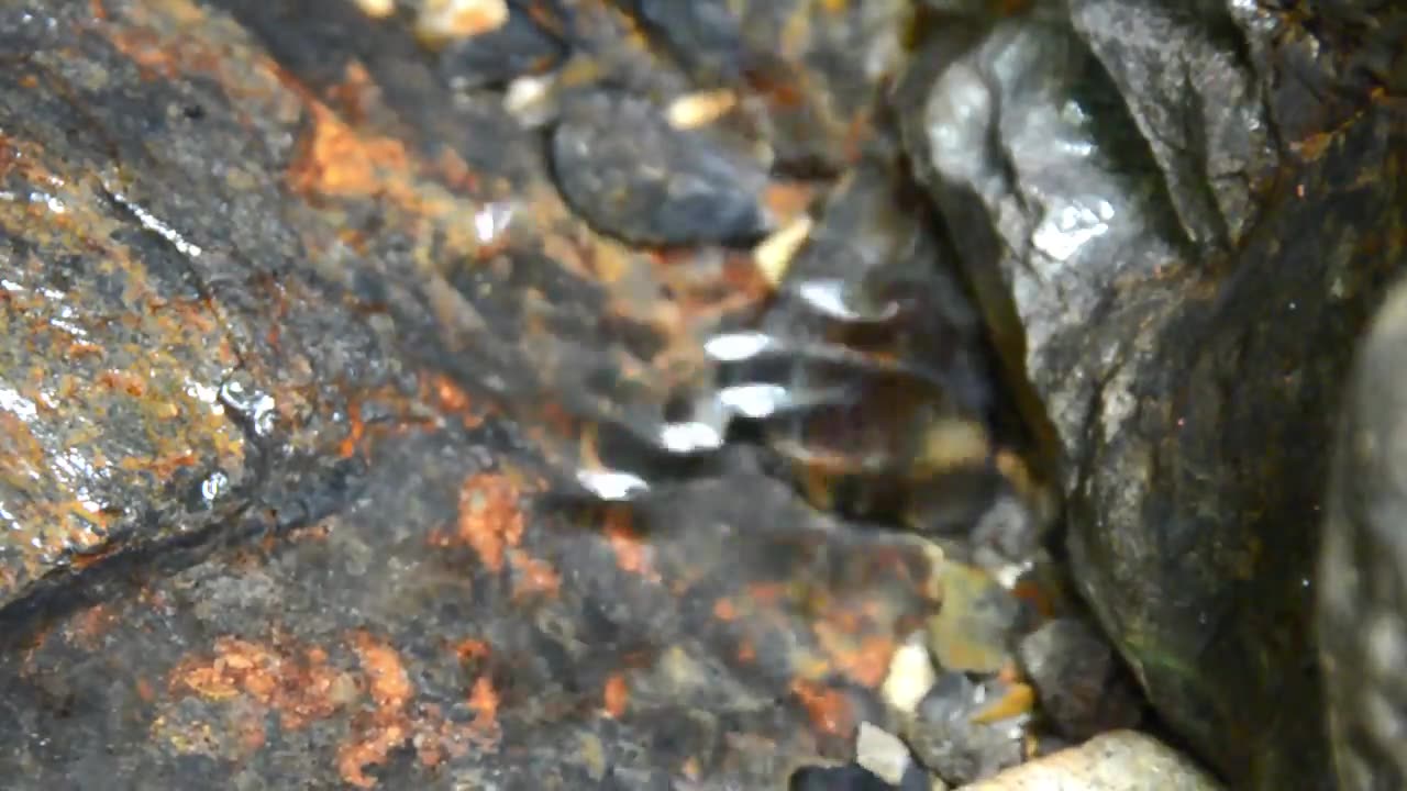 Country Side Water Stream Meditation