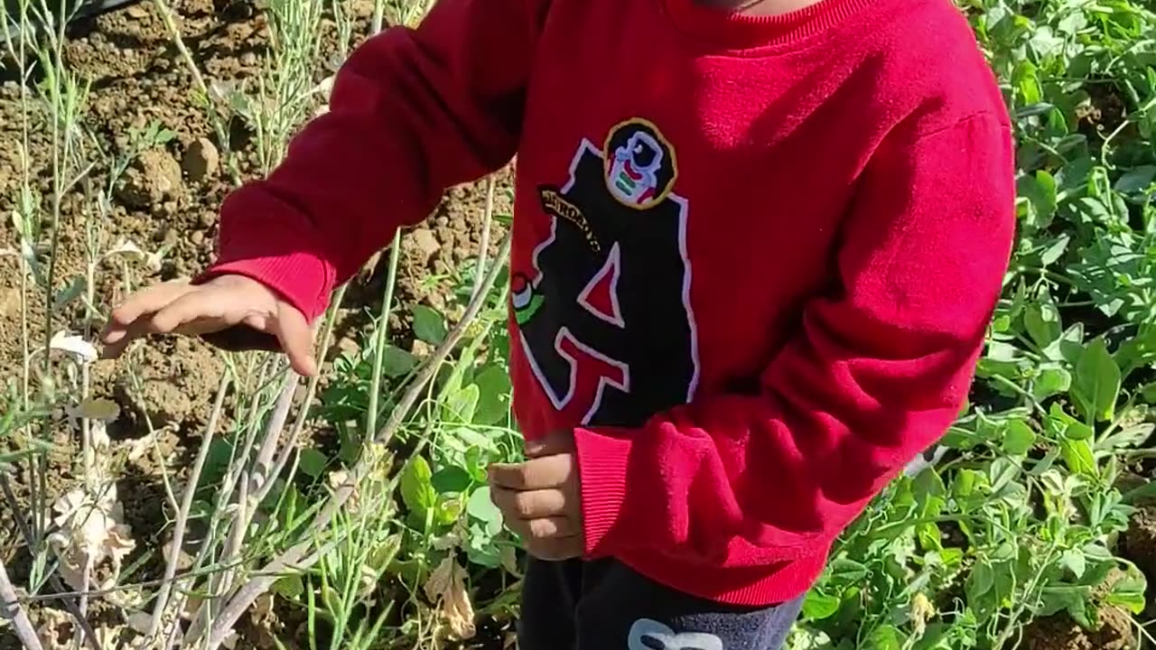 Baby in the Farm