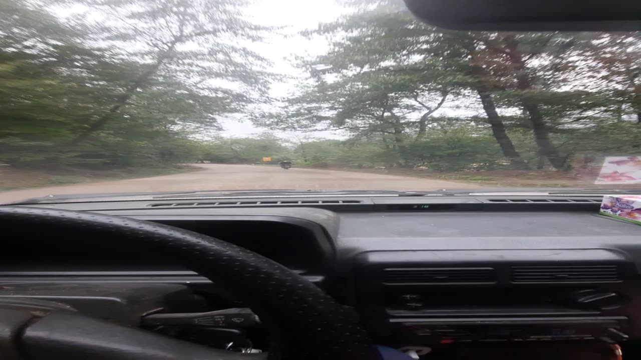 Pov driving real in frost