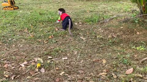 Luby the Adorable Monkey Lifts His Truck With An Excavator