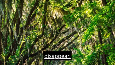 Storytelling animation check description!!!