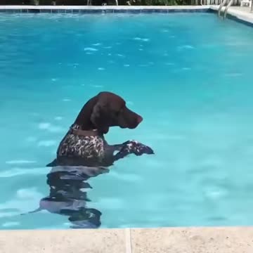 Water Ballet