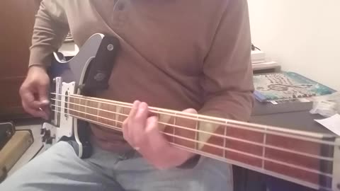 The Go Go's - How Much More Bass Cover