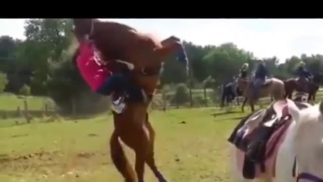 HORSE RIDING FAIL