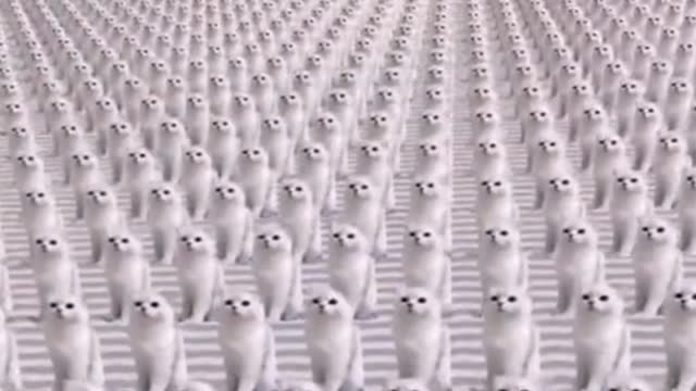 Hahaha, isn't the cat army awesome?