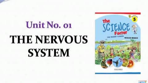 Nervous System of Human Body