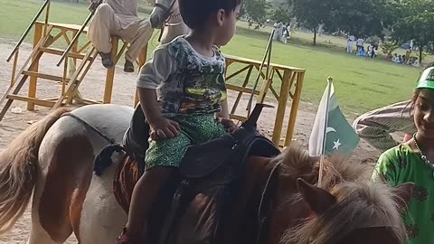 Little Boy Enjoy Donkey Ride