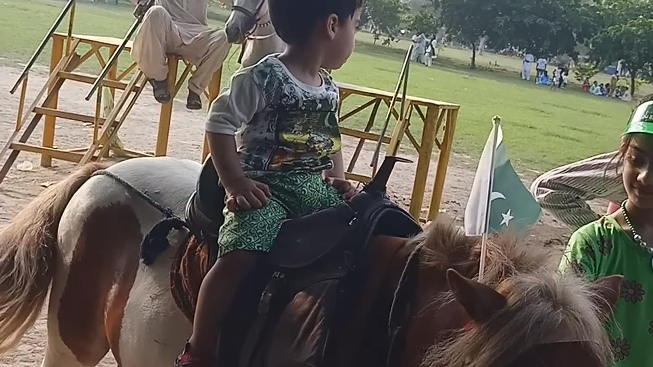 Little Boy Enjoy Donkey Ride