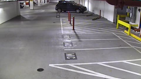 6120RHOBG2G204ALobby4Entrance_2021-01-05_20h00min03s237ms.mp4