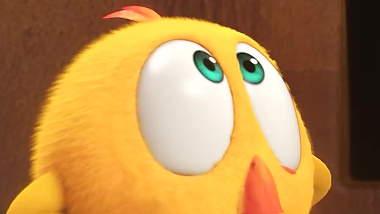 #SHORTS CHICKY
