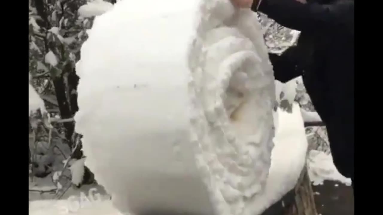 Or snowsushi roll 🍥
