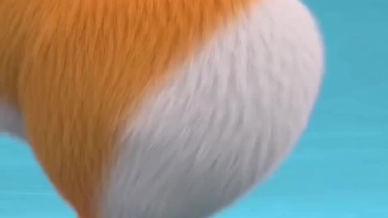 Mooco
