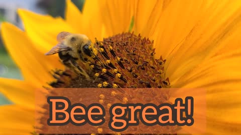 Bee Great