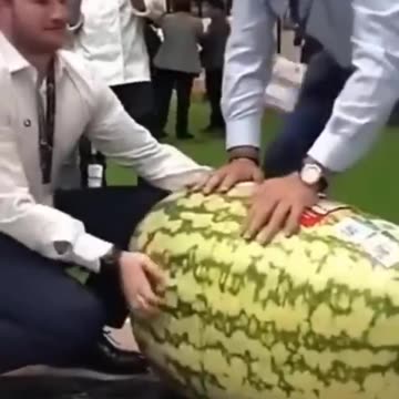 Amazing Giant Watermelon Farm
