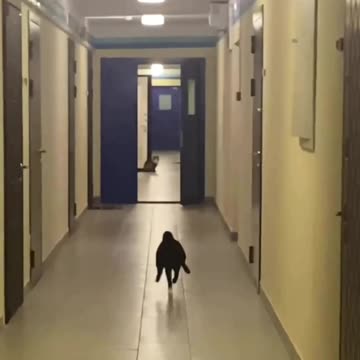 When you hear food is ready