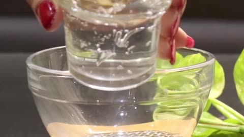 Hair conditioner/ make at home/ 100% natural/