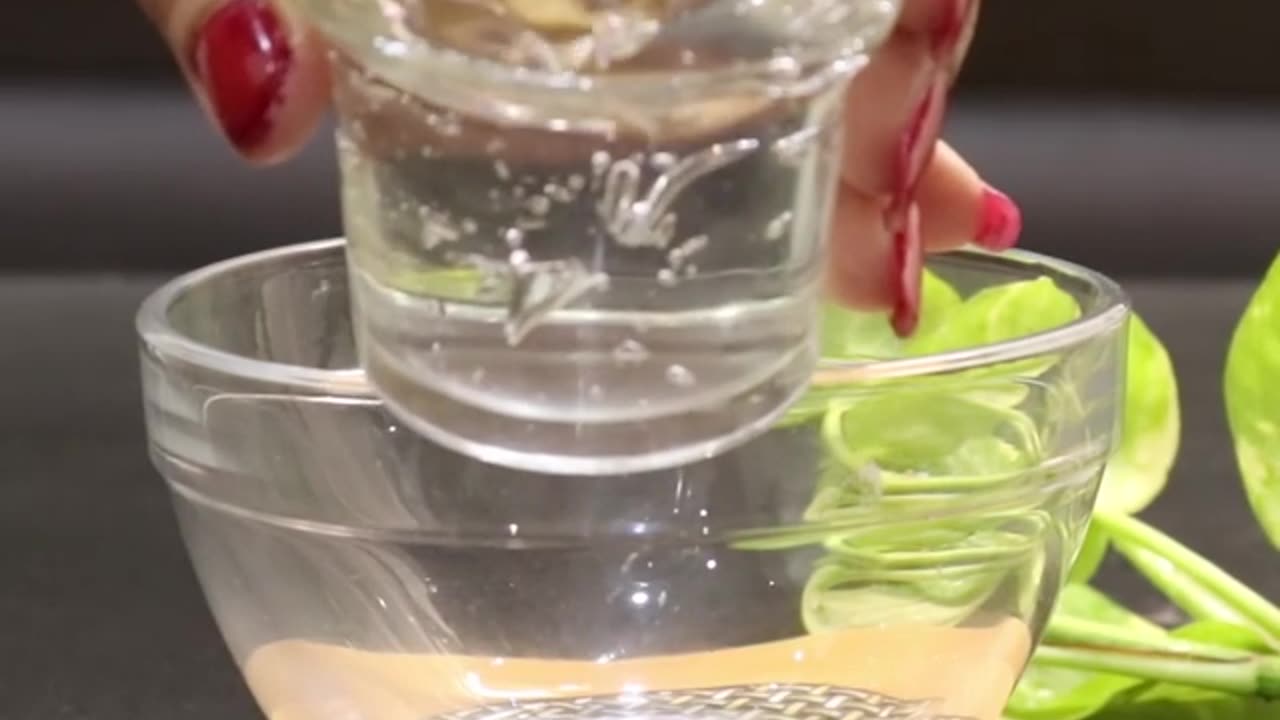 Hair conditioner/ make at home/ 100% natural/