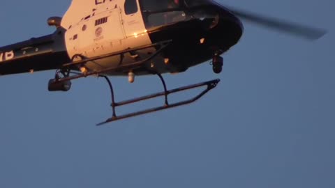 445. Its Satans Reptilian America that Rules