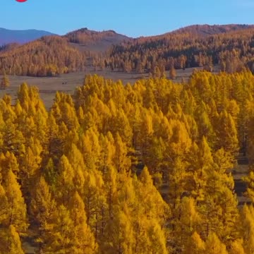 Beauty of God’s creation 👍🙏