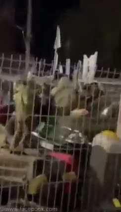 27.02.2022. Day three. The war continues, Russia - Ukraine!!!