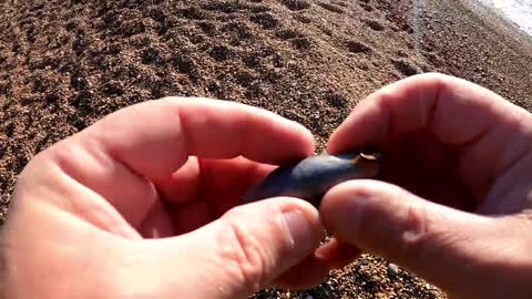 Metal Detecting - Rounds on Rotunda beach