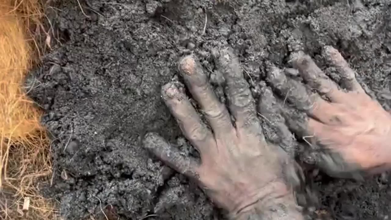 Charcoal making from woods